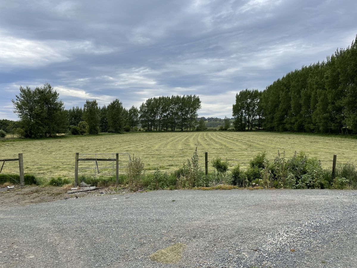 Balmoral Homestead - price reduction - Widok 3