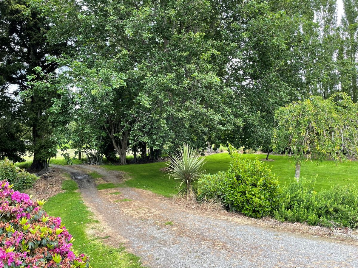 Balmoral Homestead - price reduction - Widok 2
