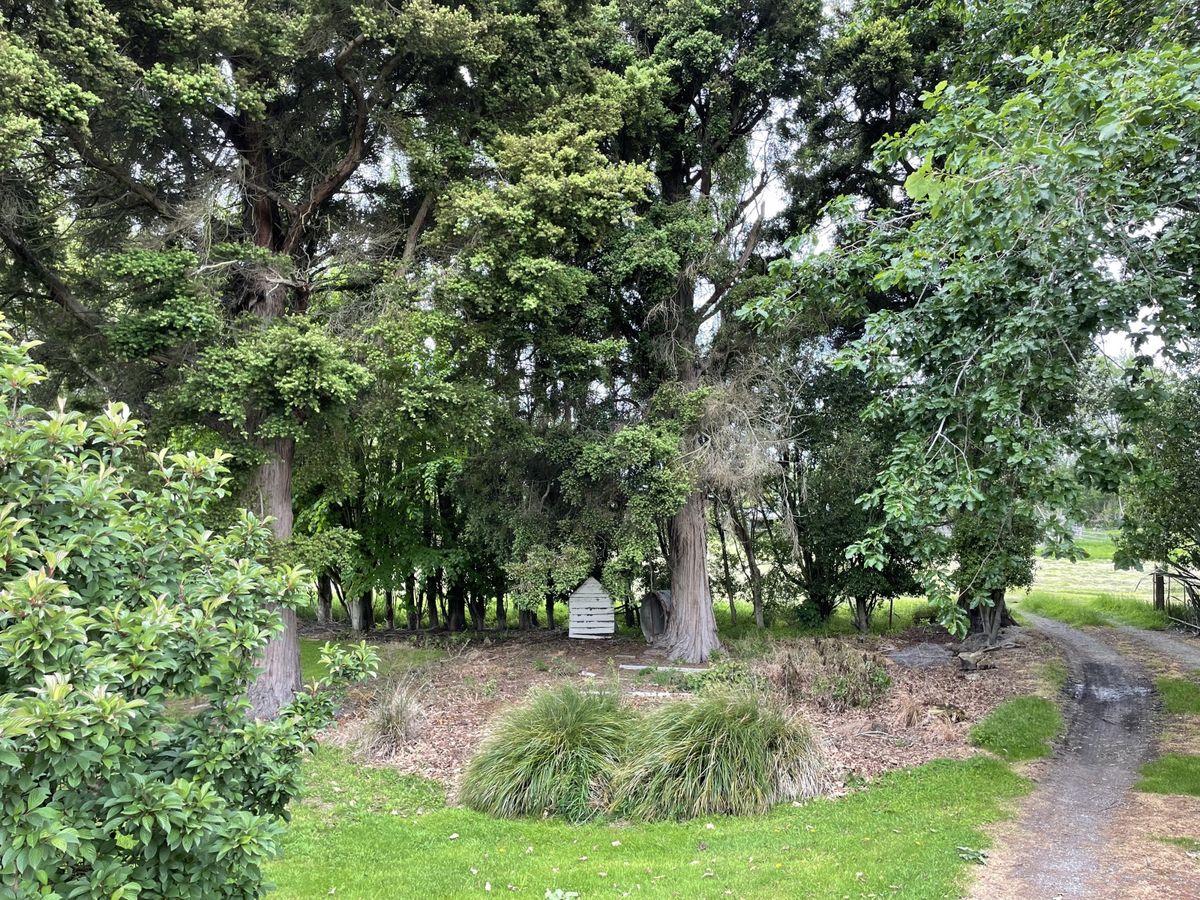 Balmoral Homestead - price reduction - Widok 6