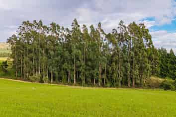 Lot 2 Brownleas Road, Waimate