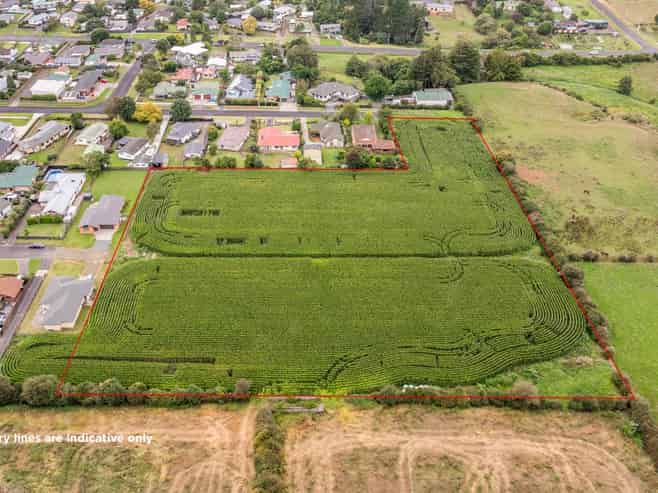 20 Coolen Place, Tuakau