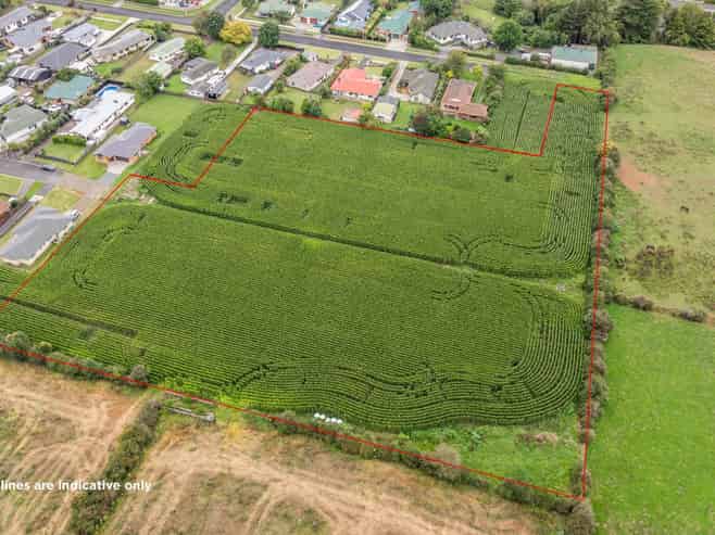 20 Coolen Place, Tuakau