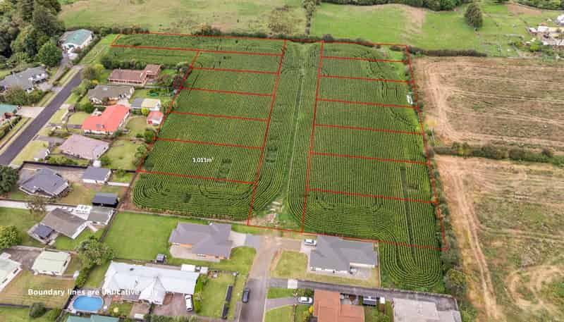 20 Coolen Place, Tuakau