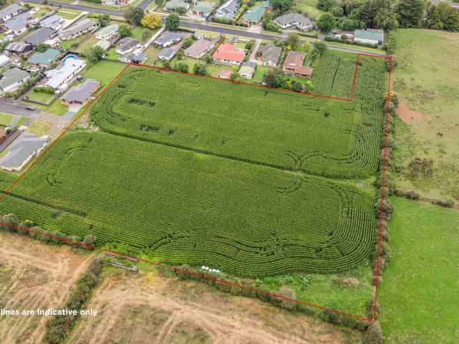 20 Coolen Place, Tuakau