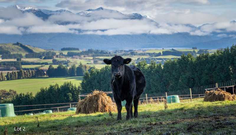 112 Ridgedale Road, Te Anau