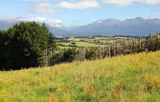 112 Ridgedale Road, Te Anau