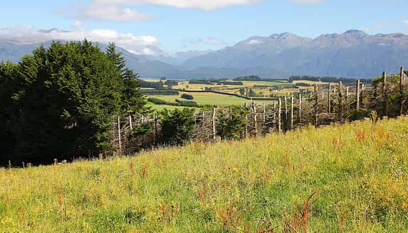 112 Ridgedale Road, Te Anau