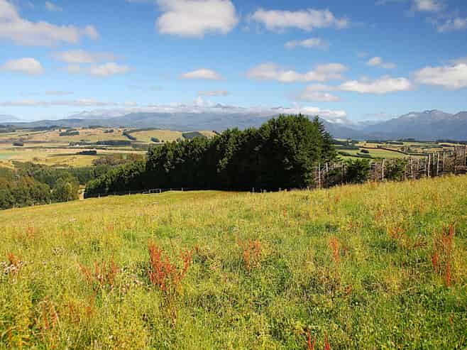 112 Ridgedale Road, Te Anau