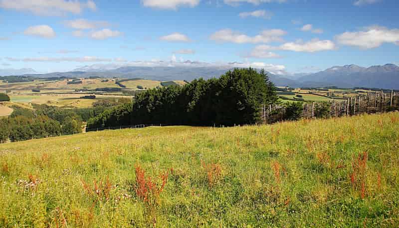 112 Ridgedale Road, Te Anau