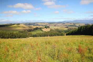 112 Ridgedale Road, Te Anau