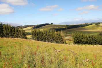 112 Ridgedale Road, Te Anau