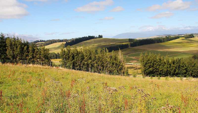 112 Ridgedale Road, Te Anau