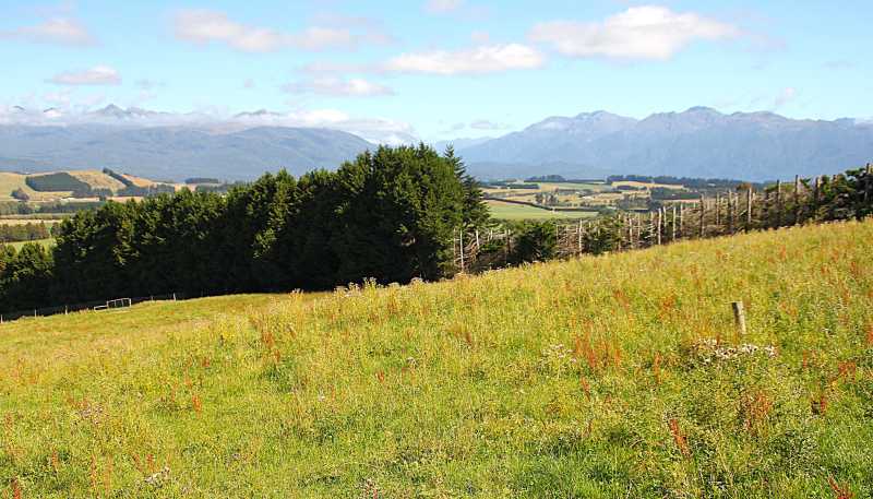 112 Ridgedale Road, Te Anau