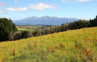 112 Ridgedale Road, Te Anau