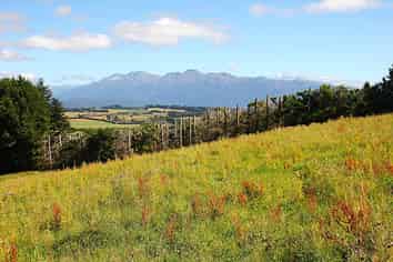 112 Ridgedale Road, Te Anau