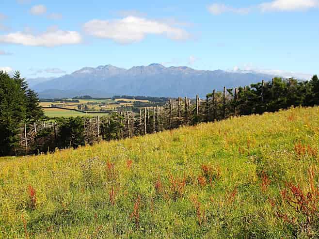 112 Ridgedale Road, Te Anau