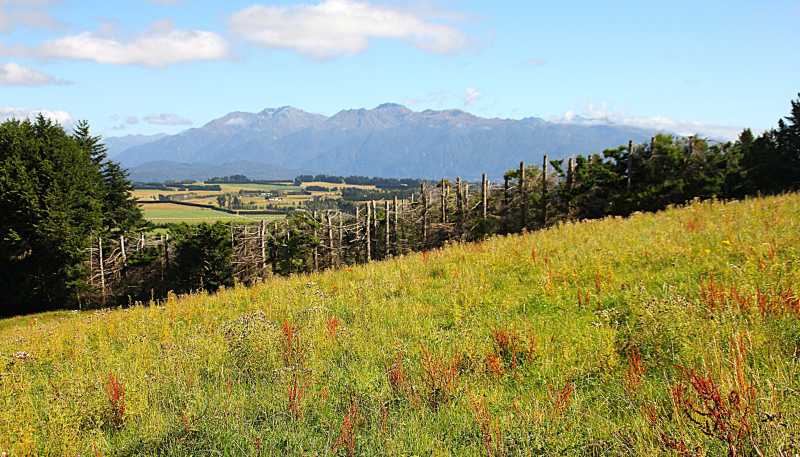 112 Ridgedale Road, Te Anau
