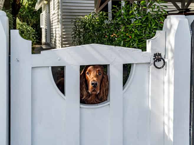 47 Wallace Place, Westown