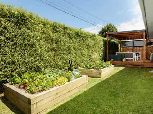 51 Humber Crescent, Gate Pa