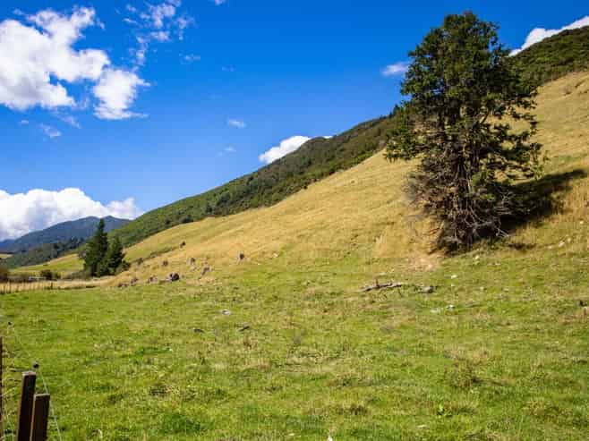 148 Tunakino Valley Road, Rai Valley