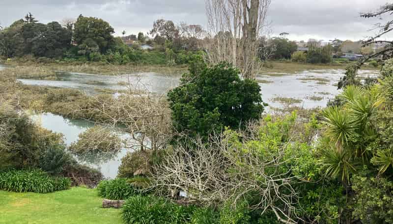 11A Kerswill Place, Pakuranga