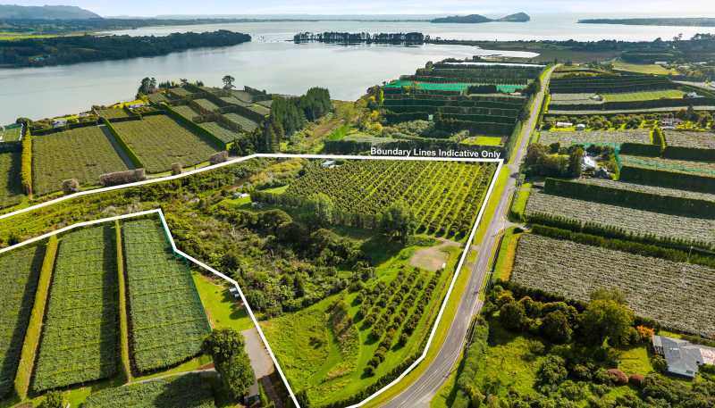 169 Tuapiro Road, Katikati