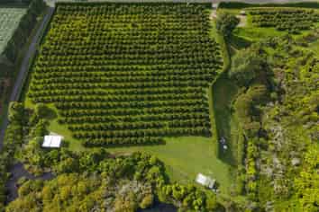 169 Tuapiro Road, Katikati