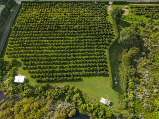 169 Tuapiro Road, Katikati