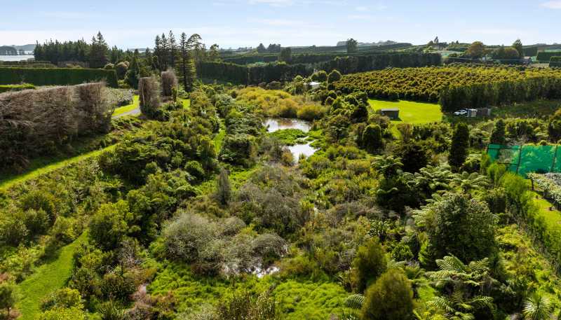 169 Tuapiro Road, Katikati