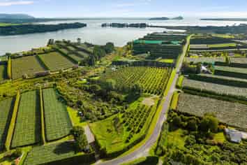 169 Tuapiro Road, Katikati