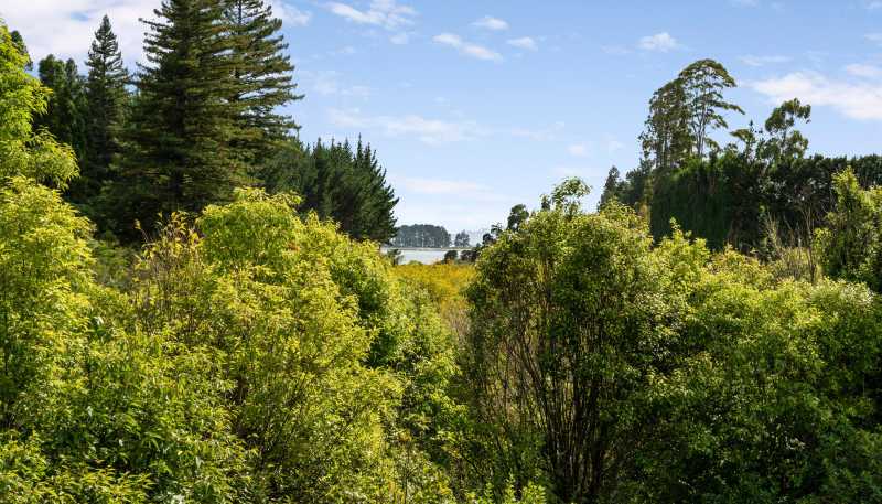 169 Tuapiro Road, Katikati