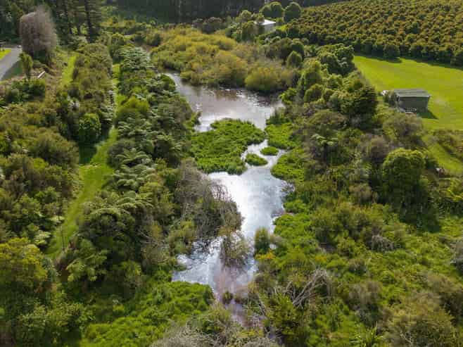 169 Tuapiro Road, Katikati