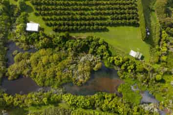 169 Tuapiro Road, Katikati