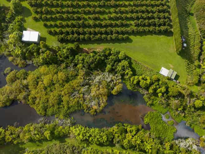 169 Tuapiro Road, Katikati