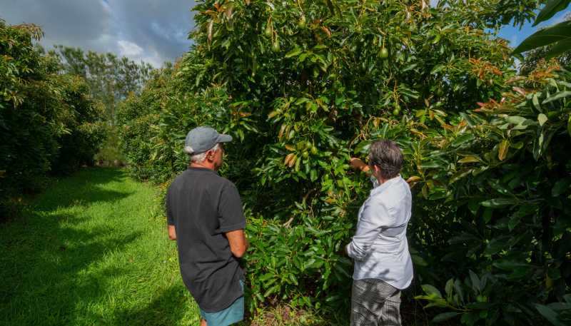 169 Tuapiro Road, Katikati
