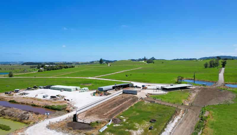 77 Molloy Road, Ruawai