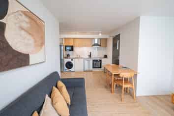 241 Castle Street, North Dunedin