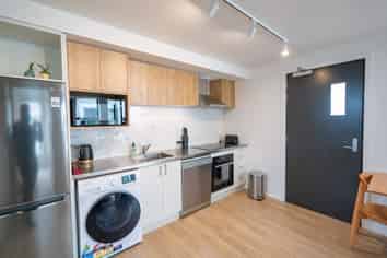 241 Castle Street, North Dunedin