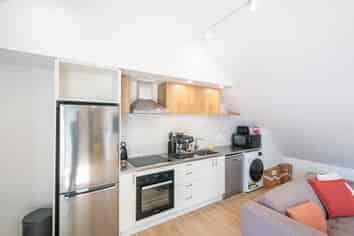 241 Castle Street, North Dunedin