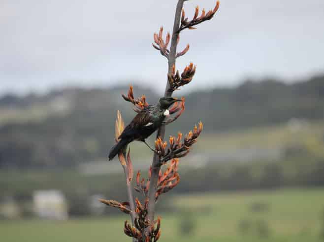 45A Finlayson Road, Matarau