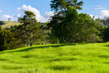 45B Finlayson Road, Matarau