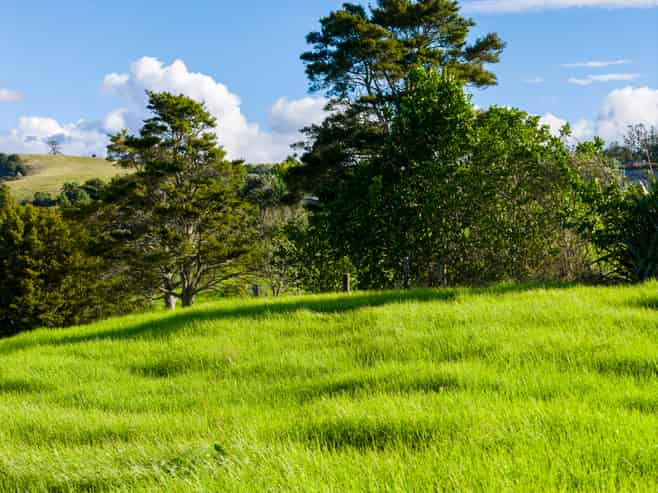 45B Finlayson Road, Matarau