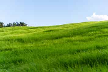 45C Finlayson Road, Matarau