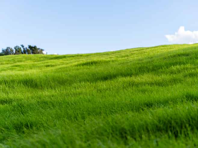 45C Finlayson Road, Matarau