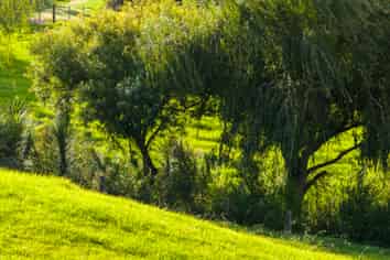 45C Finlayson Road, Matarau