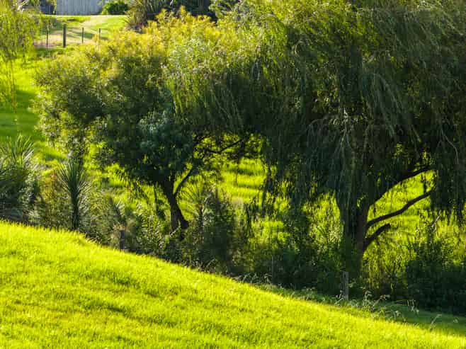 45C Finlayson Road, Matarau