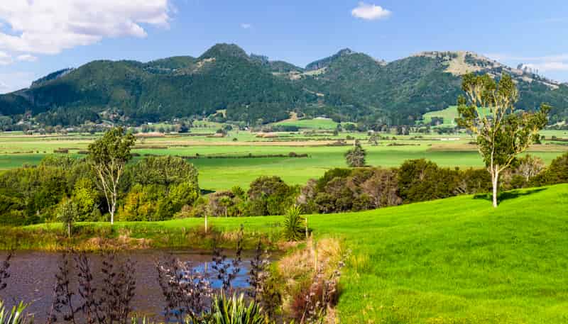 45C Finlayson Road, Matarau