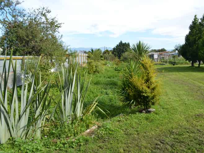 61 Cockburn Street, Kuripuni