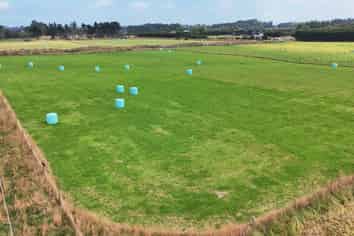 35 Dairy Way, Seaward Bush