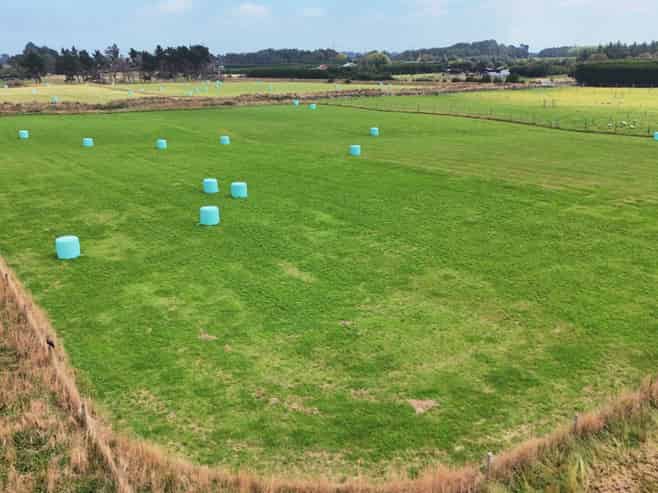 35 Dairy Way, Seaward Bush